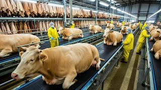 Download Lagu Inside the Cow-Leather Factory: How Premium Luxury Goods Are Made from Cow Skin | Full Process MP3