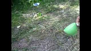 MPEG0061