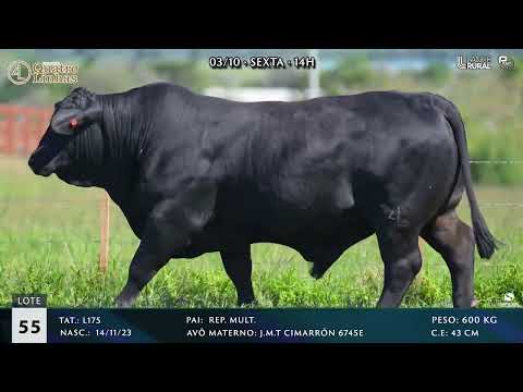 LOTE 055