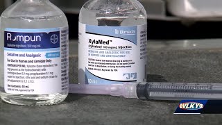 Powerful horse sedative "Xylazine" linked to human overdoses in Kentucky