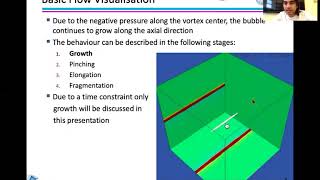 Numerical Simulation of Cavitation Bubble Dynamics in a Rankine Vortex