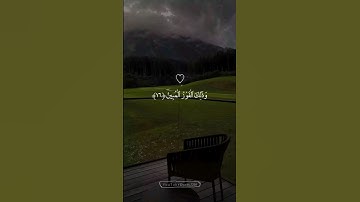 قُلْ إِنِّي أَخَافُ إِنْ عَصَيْتُ رَبِّي عَذَابَ يَوْمٍ عَظِيمٍ | تلاوة جميلة بصوت ياسر الدوسري.