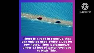 The Amazing Road- Passage Du Gois