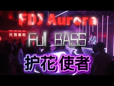 护花使者 Full Bass Remix 2025 🔥 超燃DJ版 | Chinese EDM Mix | 护花使者 Bass Boosted TikTok Viral 💥