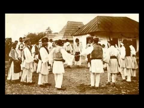 Nicolae Sulac Foaie Verde Trei Lalele