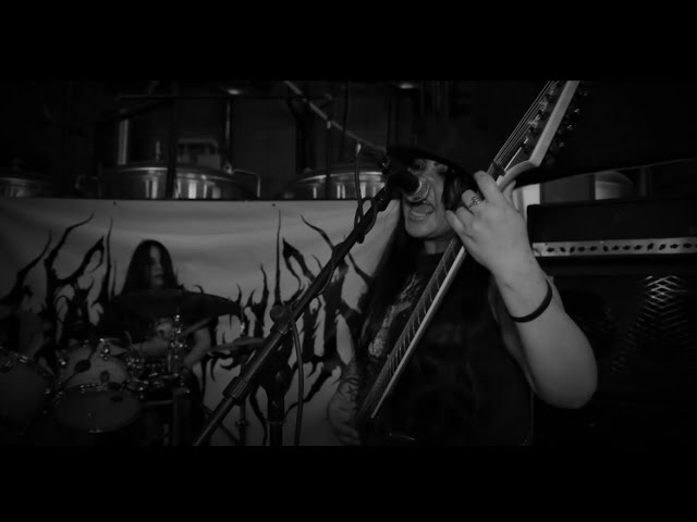 Harlequin - Exasperated Torment (OFFICIAL VIDEO) class=