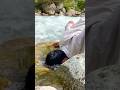 Kaha sa aati ha ya nadi 🥰explore river of kashmir 🥰#kashmir#love #beauty #river #nature