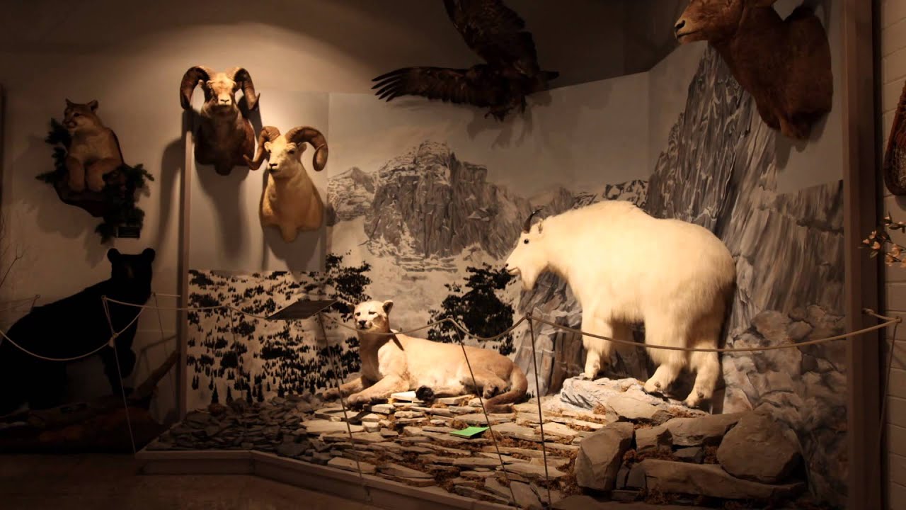 Etzikom Museum and Historic Windmill Interpretive Centre