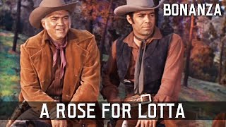 Bonanza - A Rose for Lotta | Episode 01 | Western Series | FULL EPISODES | English