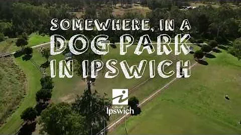 Clean up after your dog