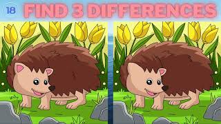 Find 3 Differences | Exercise Your Brain | Video 894