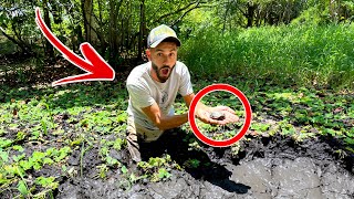 I Saved a BABY Turtle from BLACK TAR MUD!