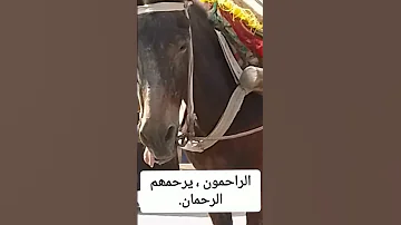 إن الدابة لاتشكوا للربھا 