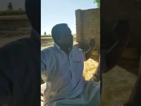 وناسة نوبية وحكاوي من امبركاب 11 