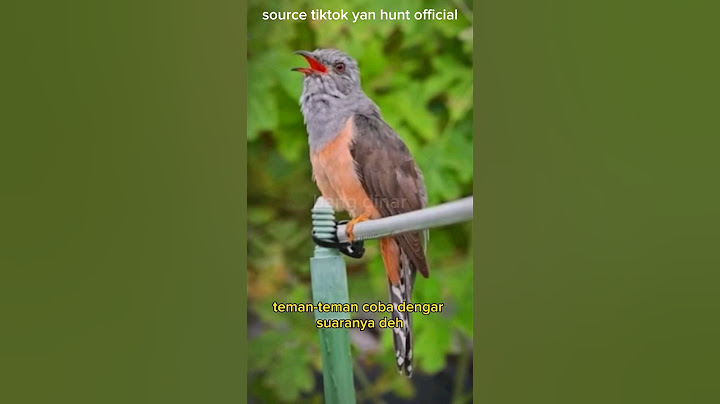 HOROR‼️BURUNG KEMATIAN SUARANYA BIKIN MERINDING😭 #shorts