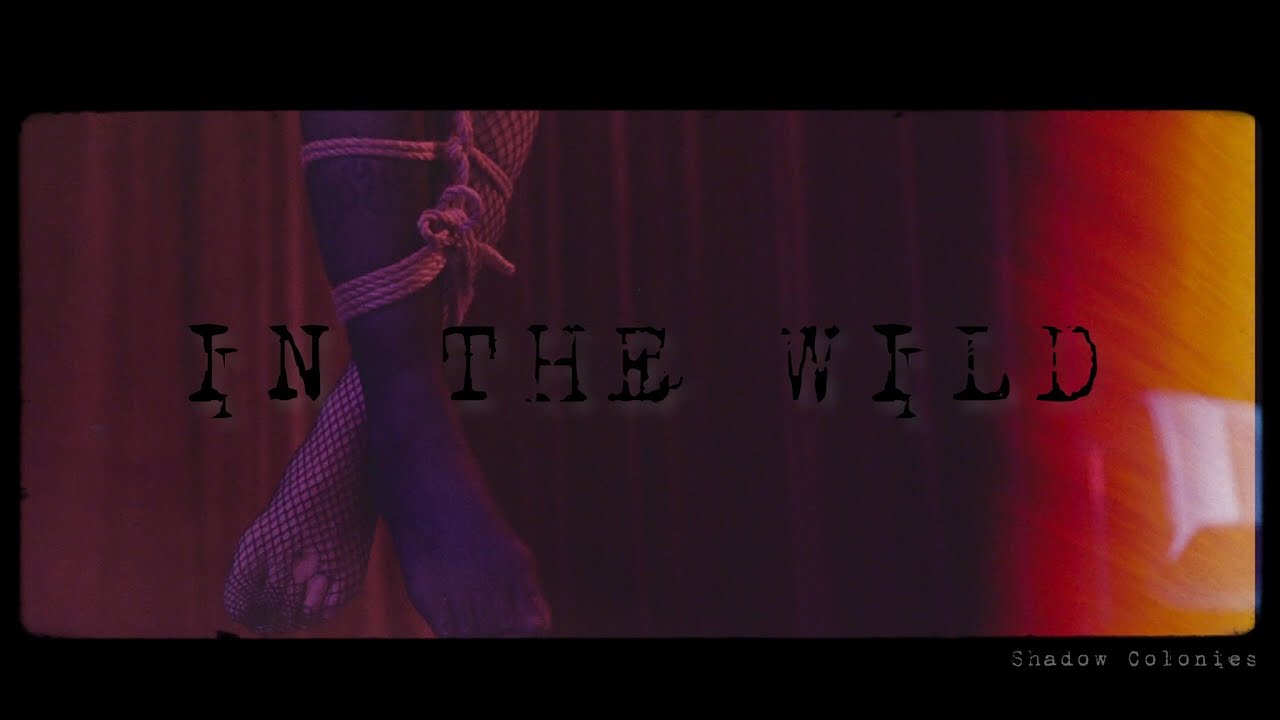 Shadow Colonies - In the Wild (Official Video)