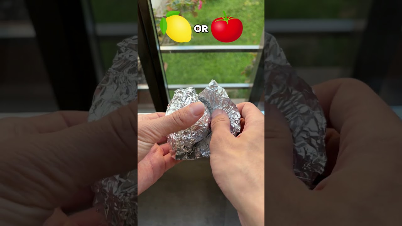 Lemon OR Tomato 🍋🍅