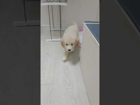 나의 소중이~