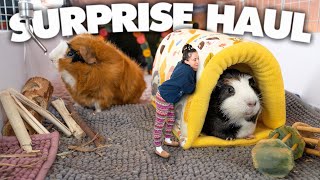 GUINEA PIG HAUL | Products For My NEW C&C Cage *SHOCKED!