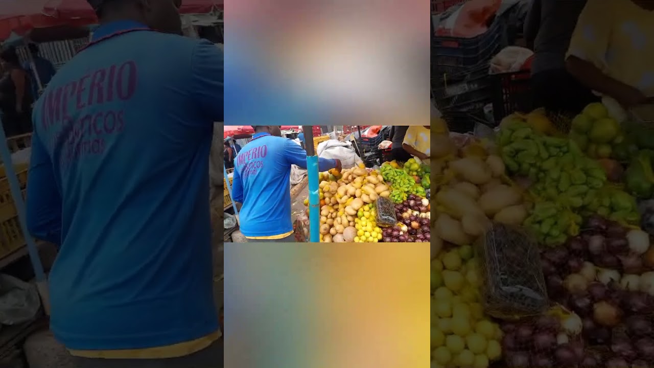 Enviar publicar meus vídeos são verdadeiros @jose Carlos Barbosa neto-go8fryoutube 