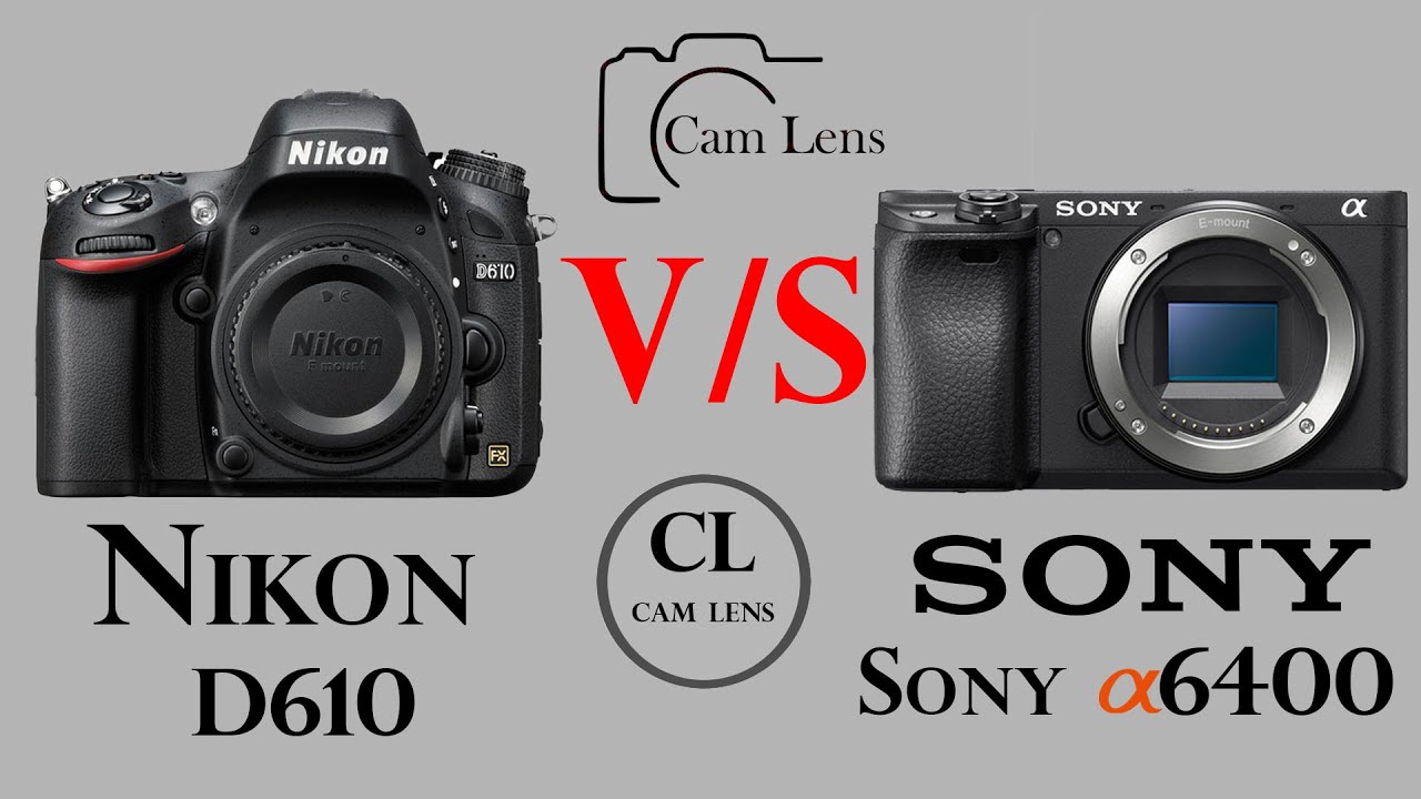 Nikon D610 現状品 ニコン フルサイズ一眼レフの名脇役 D610 【兵庫の猫 撮影レビュー】