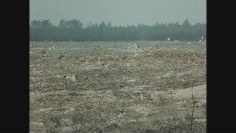 News Item (44a17eb8-3643-fcdc-adba-61c8122d8204)