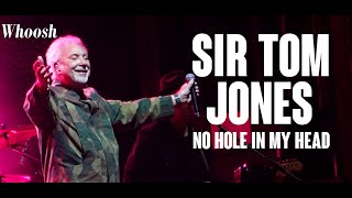 Sir Tom Jones - No Hole In My Head @ Norwich Earlham Park