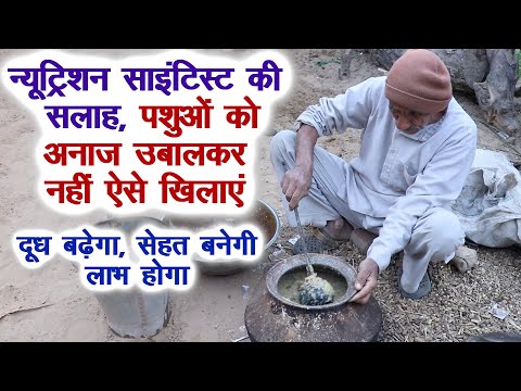 वीडियो: भैंसों के नक्शेकदम पर, या यह क्या है - एक बड़ा शीर्ष?