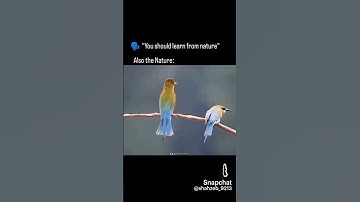 🗣️ you should learn from nature ☠️💀 #ytshorts #youtubeshorts #youtube #shorts #reels #newyoutuber