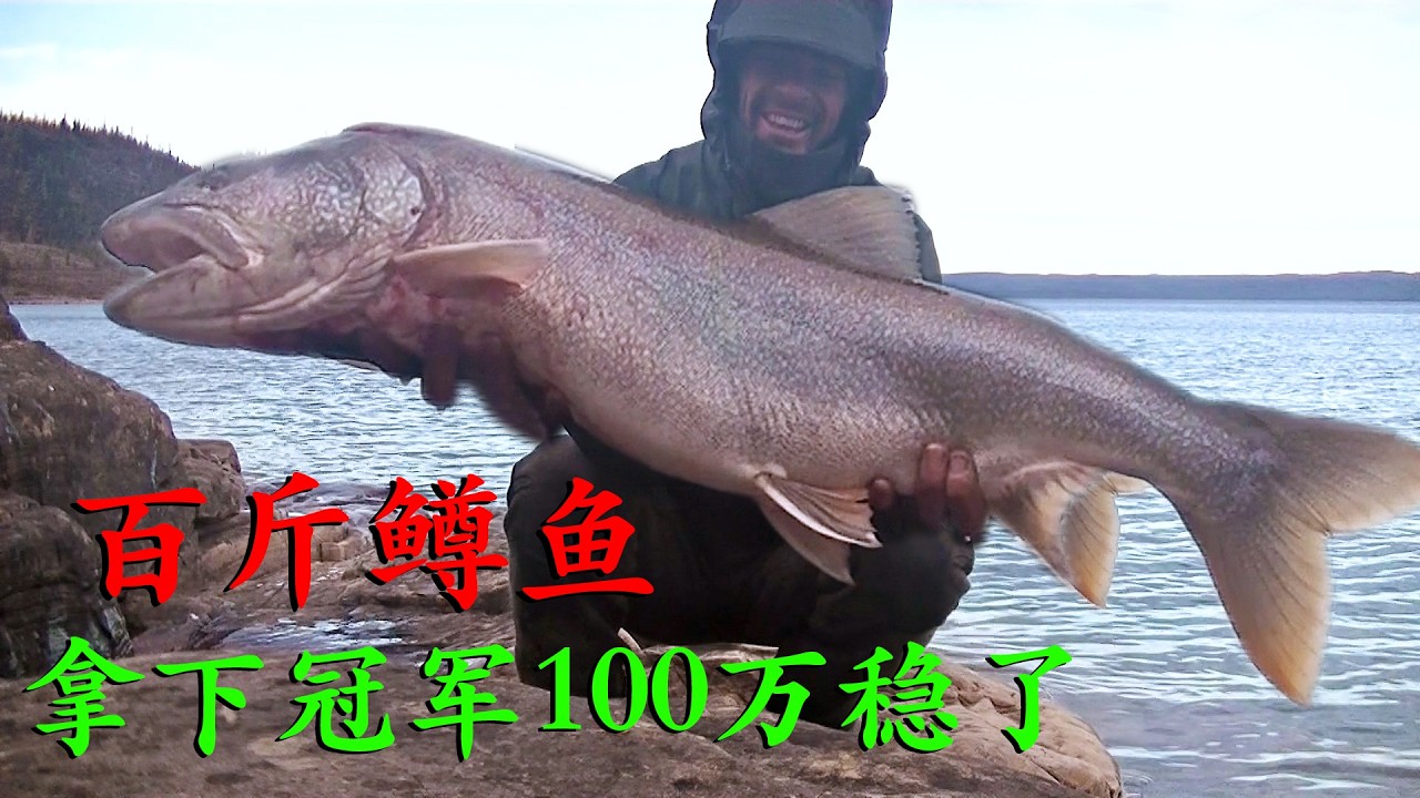 荒野獨居第七季萬字精講篇，從大奴湖釣起巨型鱒魚，差點把人給拖下水，拿下100萬冠軍穩了！