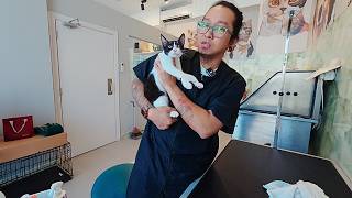 Arabian Maus Very First Bath Was Chaotic