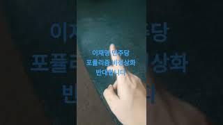 이재명 민주당 국민을 가난하게 하는 포퓰리즘 중국산 중국기업 알리테무 쉬인 화웨이 텐센트 전기자동차친환경 태양광 퐁력에너지 반대합니다