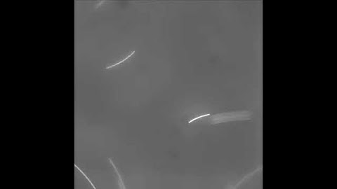 DNA in Extensional Flow