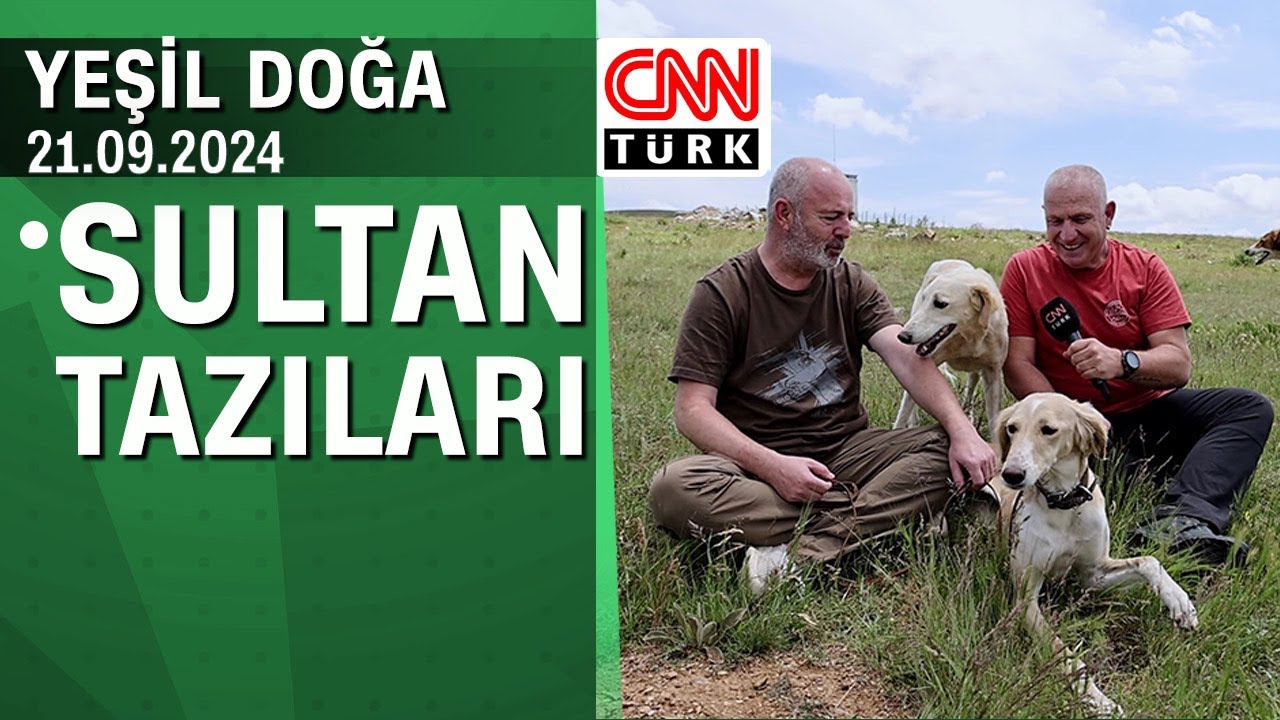 Sultan tazılarının hikayesi - Yeşil Doğa 21.09.2024 Cumartesi