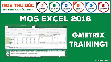 MOS Excel 2016 Training 1 - GMetrix