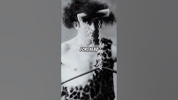 Joe Rogan Reacts to the Strongest Man Who Ever Lived   JRE Podcast Reacts with Bas Rutten