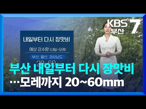   날씨 부산 내일부터 다시 장맛비 모레까지 20 60mm KBS 2023 07 03