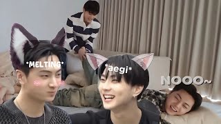 just jay special treatment of jungwon he can t resist wonies cute silliness