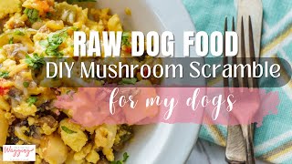 DIY Mushroom Scramble and  Meal Topper for My Dogs by Kimberly Gauthier, CPCN 161 views 1 month ago 1 minute, 29 seconds