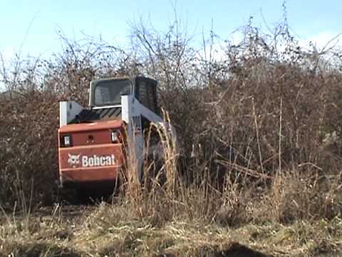 Skid steer with brush cutter for sale