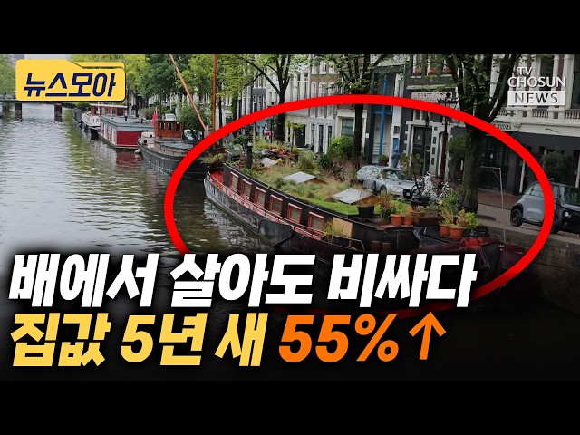 네덜란드 청년들, 보트하우스로 밀려났다···“혼자서는 집도 못 사요” [티조 Clip]