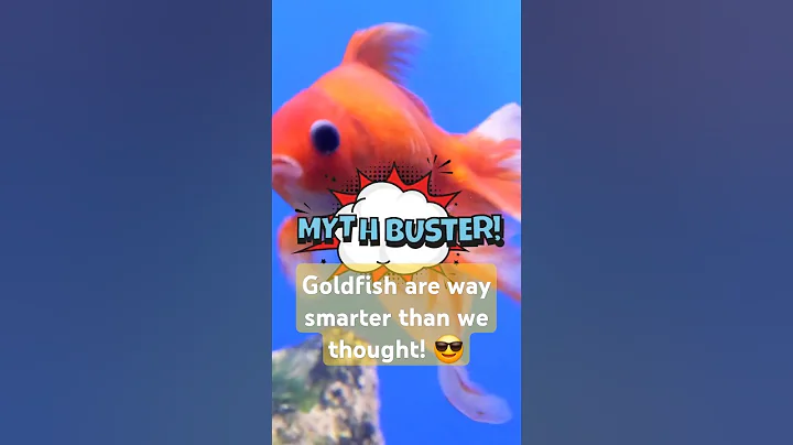 Goldfish are way smarter than we thought!