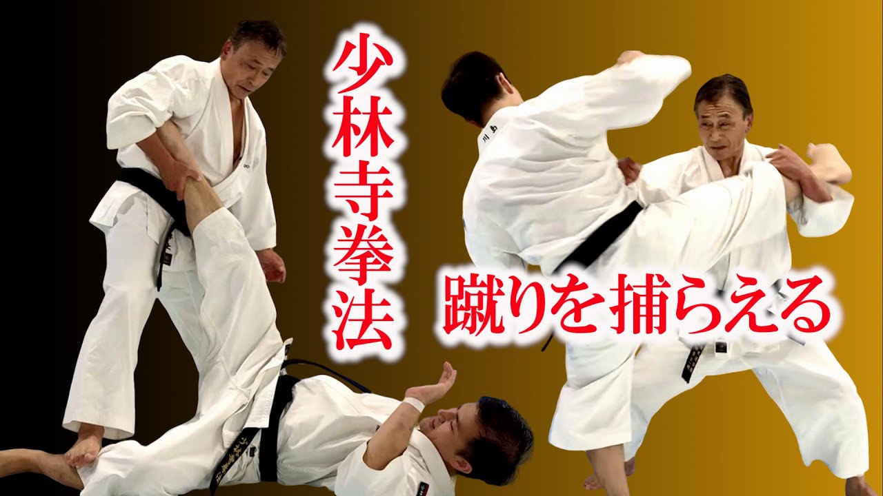 Закончите все, пока противник бьет ногами / Mentality of Shorinji Kempo