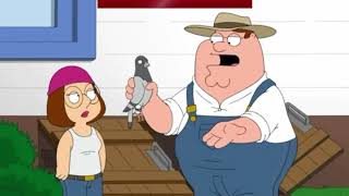 Family Guy {Cutaway Scene} -Benjamin, Tha Carrier Pigeon- #FarmerMethGuy '13