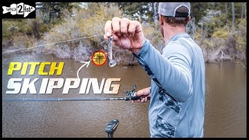 2 Casting Methods to Become a Better Shallow Bass Angler