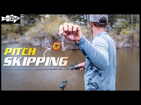 3 Effective Ways to Pitch Shallow Bass Fishing Cover - Wired2Fish