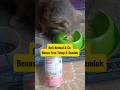 CatFood Animal &amp; Co Free Tutup&amp;sendok #catfood #wetfood #makanankucing #catlove #fyp