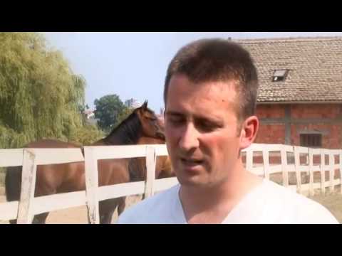 Video: Trovanje Aflatoksinima Kod Konja