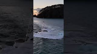 Northcape 43 - Bluefix Boatworks