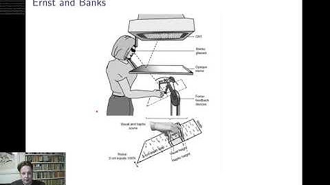 The Bayesian Brain Lecture 2: Bayesian fusion